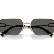 0tf3111__6021s4__p21__shad__cfr