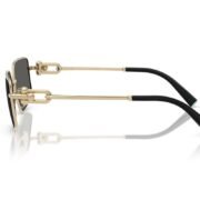 0tf3111__6021s4__p21__shad__lt