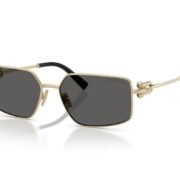 0tf3111__6021s4__p21__shad__qt (1)