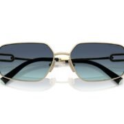 0tf3111__62029s__p21__shad__cfr