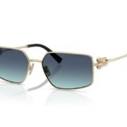 0tf3111__62029s__p21__shad__qt