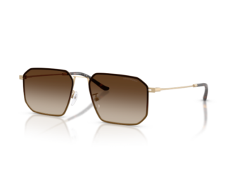 EMPORIO ARMANI 2165D 58 300213