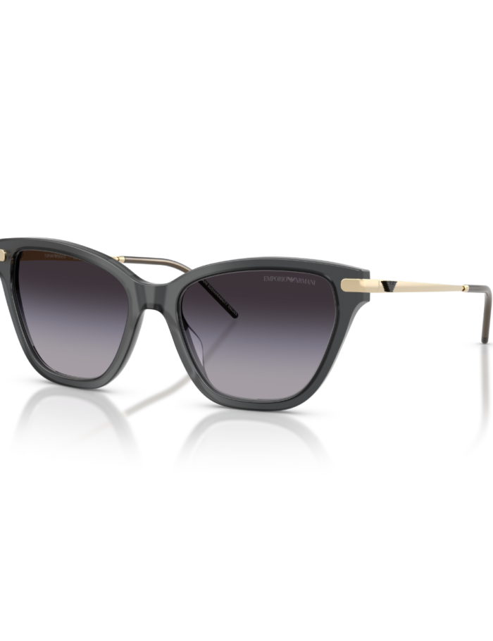 ea-4251-62628g-54-emporio-armani-gunes-gozlugu-34015