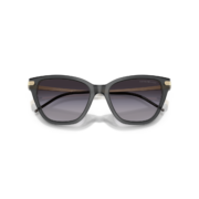 ea-4251-62628g-54-emporio-armani-gunes-gozlugu-34019