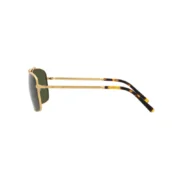 ray-ban-rb-3796-919631-gold-8056597837002-4-800x800w