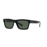 ray-ban-rb-4396-warren-667771-black-8056597829137-2-800x800w