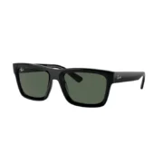 ray-ban-rb-4396-warren-667771-black-8056597829137-800x800w