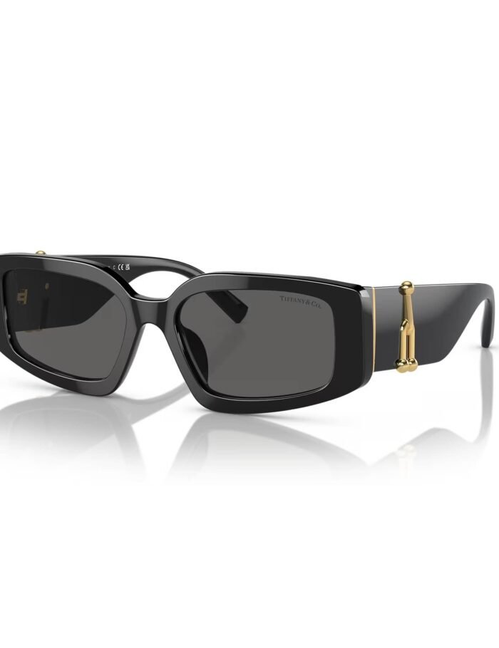 tiffany-4208u-8001s4-54-sunglasses-22492-12-B