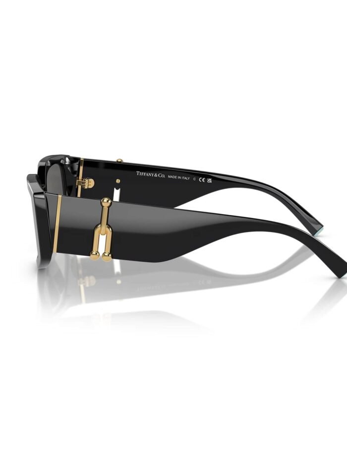 tiffany-4208u-8001s4-54-sunglasses-22493-12-B