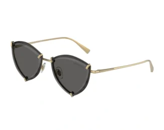 TIFFANY & CO 3090 6002S4 55